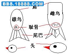 44_2785_2eebba7dacf65a7.jpg