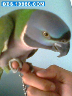 IMG0067A.jpg