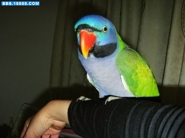 nEO_IMG_IMG_0176.jpg