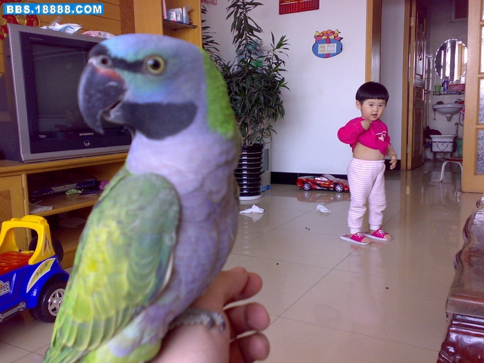 200904263660.jpg