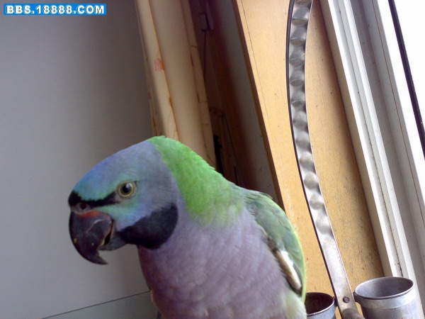 200904173639.jpg