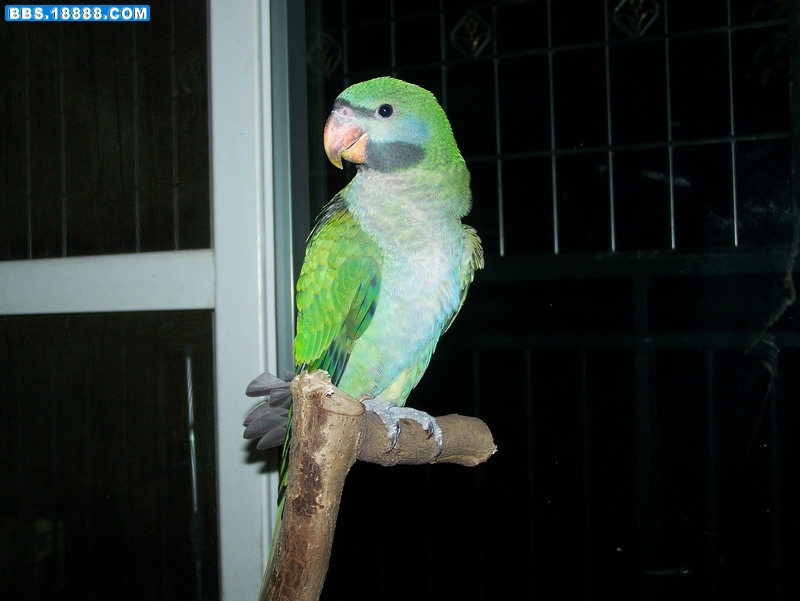100_1409.JPG