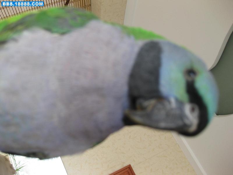 IMG_0055.JPG