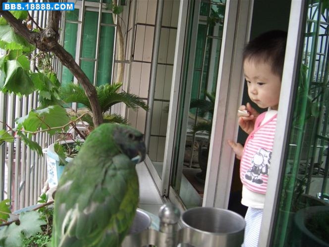 小主人看我来了.jpg