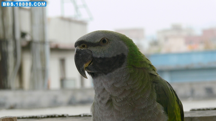 P1060719.jpg