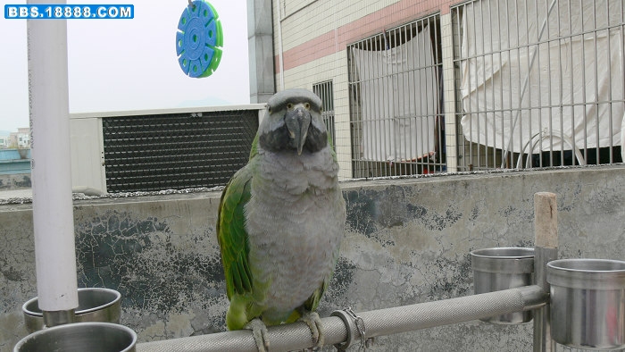 P1060779.jpg