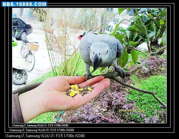 nEO_IMG_S73R2317.jpg