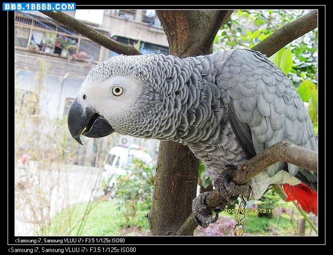 nEO_IMG_S73R2314.jpg