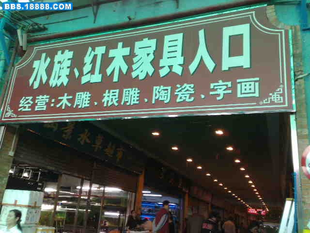 20090404629.jpg
