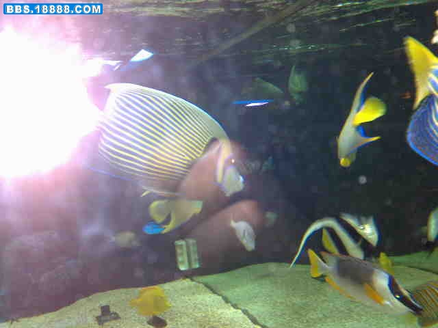 20090404661.jpg
