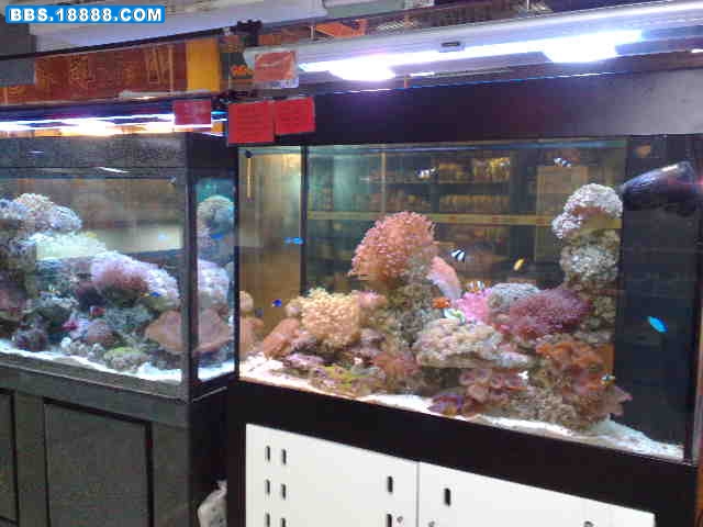 20090404660.jpg