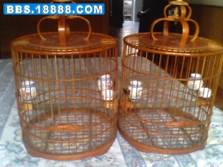 IMG0334A.jpg