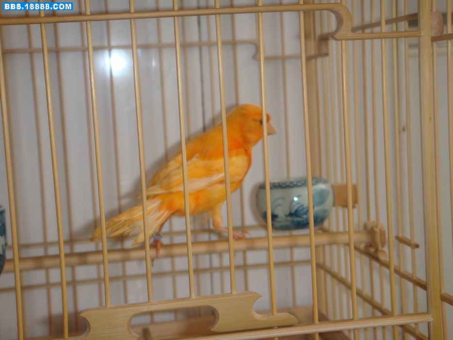 调整大小 DSC00792.JPG