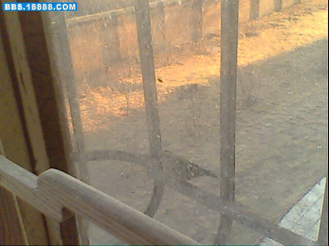 IMG0134A.jpg
