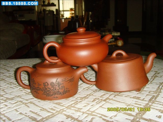 SNV31308.JPG