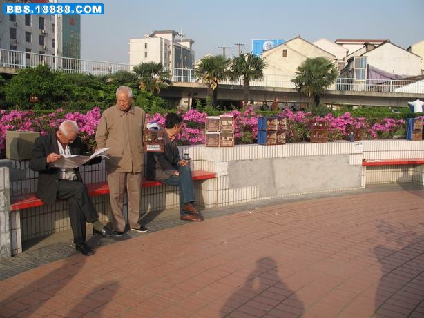 调整大小 照片 010.jpg