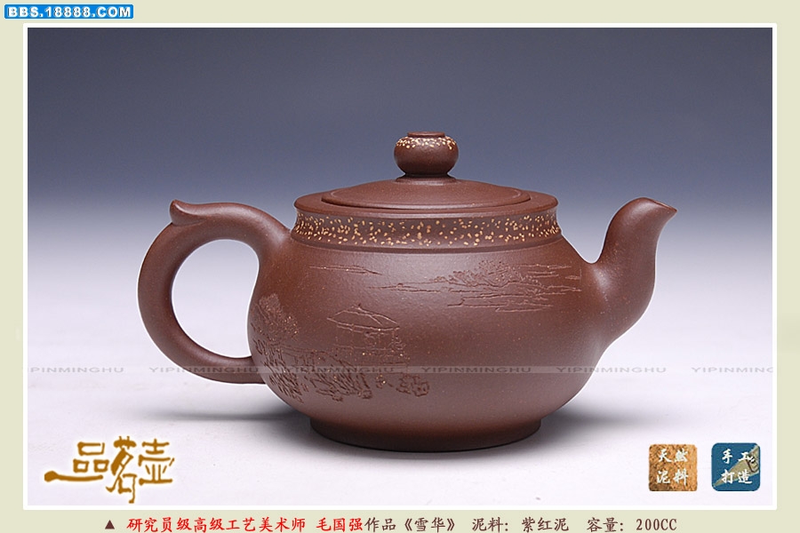 毛国强-雪华2.jpg