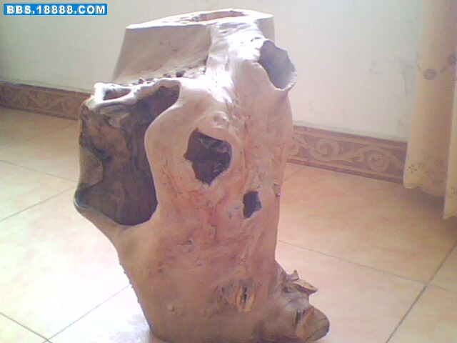 IMG0337A.jpg