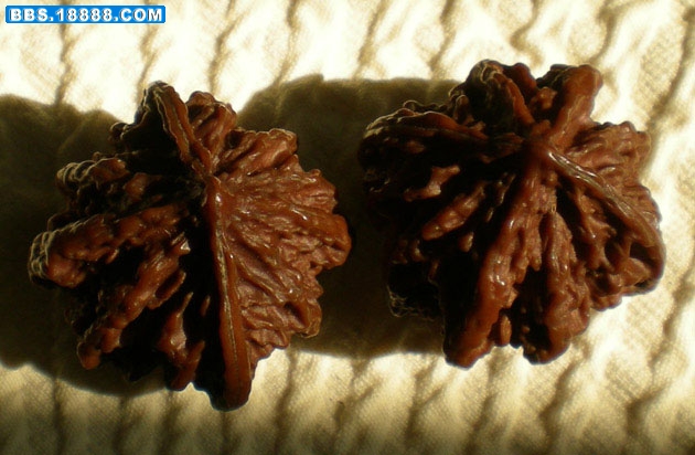 20080902_b00ae977bf5e3453514c4zMS7Ry7OUul.jpg
