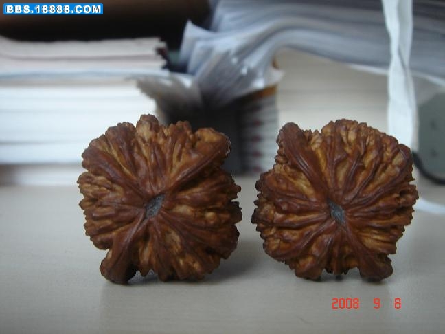 DSC02780.JPG