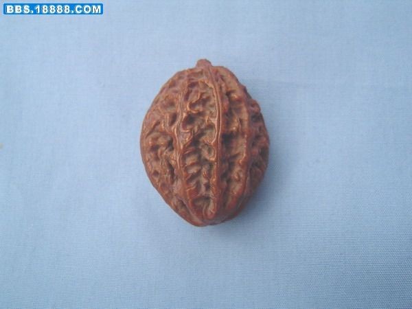 照片 245.jpg