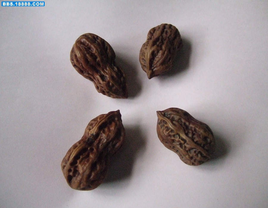 images001.jpg