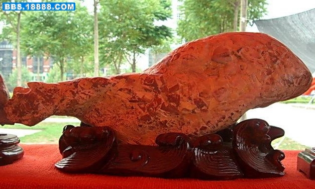 QQ2.jpg