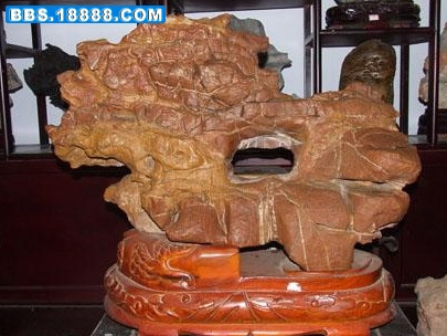QQ8.jpg