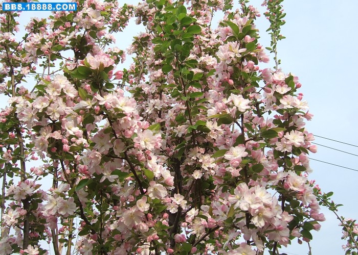 images003.jpg