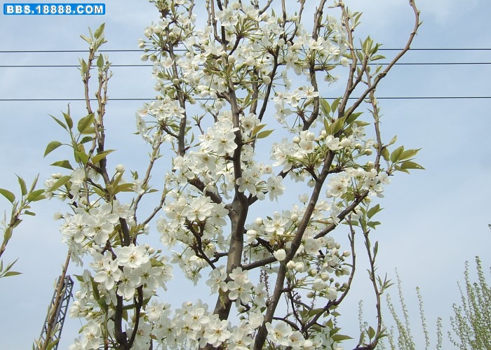 images010.jpg