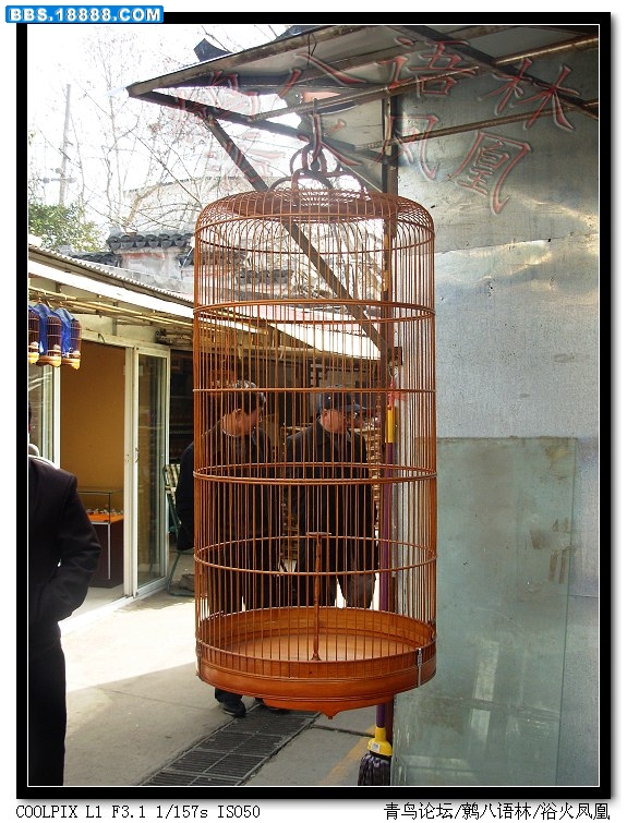 笼子01_nEO_IMG.jpg