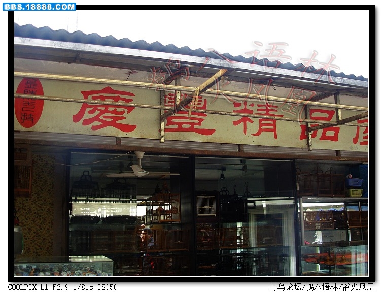 15青鸟里面南京庆丰先生的店01_nEO_IMG.jpg