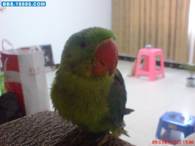DSC00057.JPG