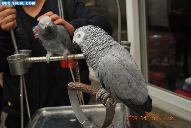 DSC_0726.JPG
