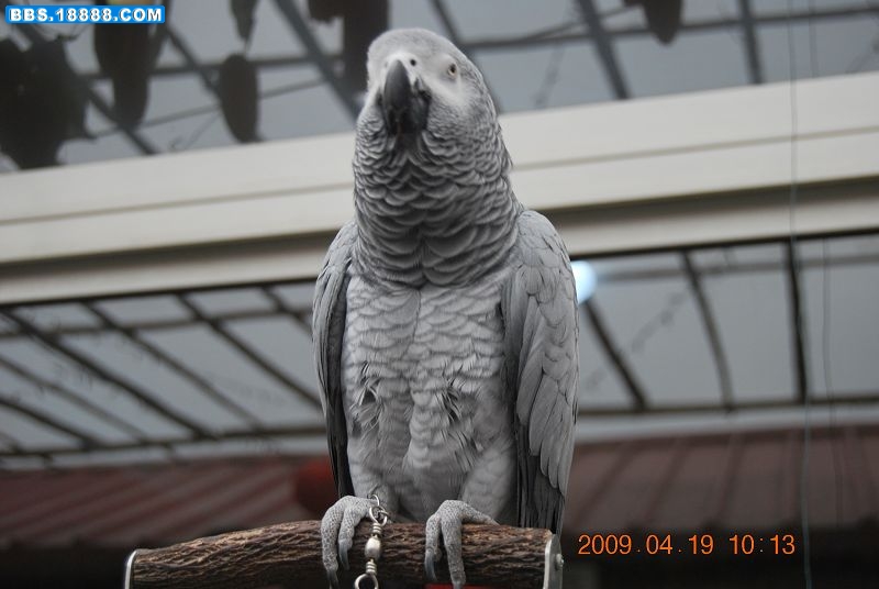 DSC_0675.JPG