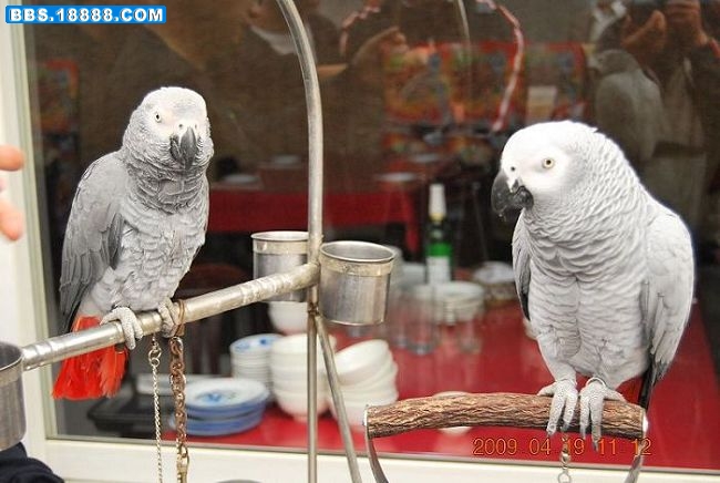 DSC_0724.JPG