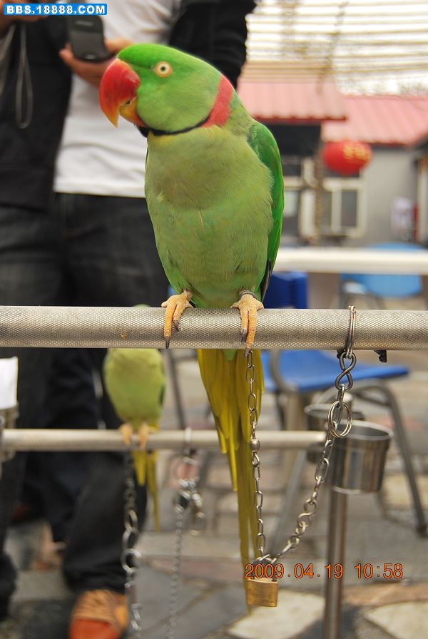 DSC_0715.JPG