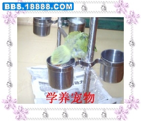 200941030042.JPG