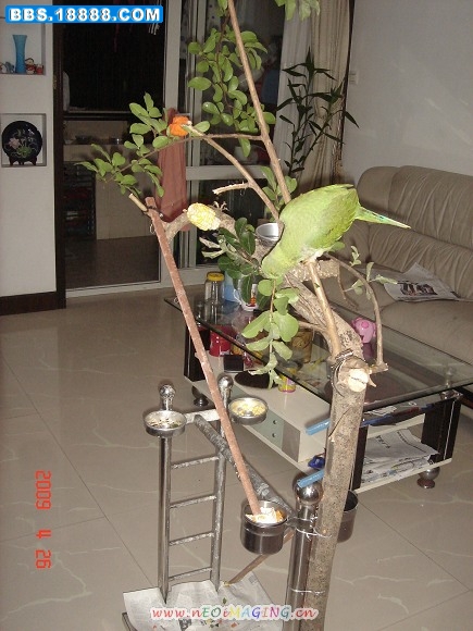 DSC03708.jpg