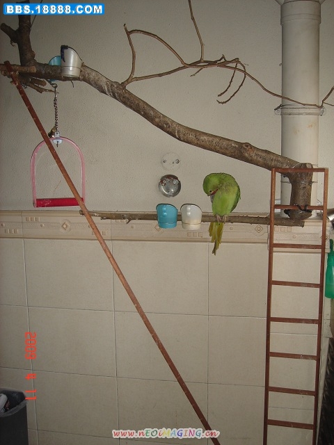 DSC03483.jpg
