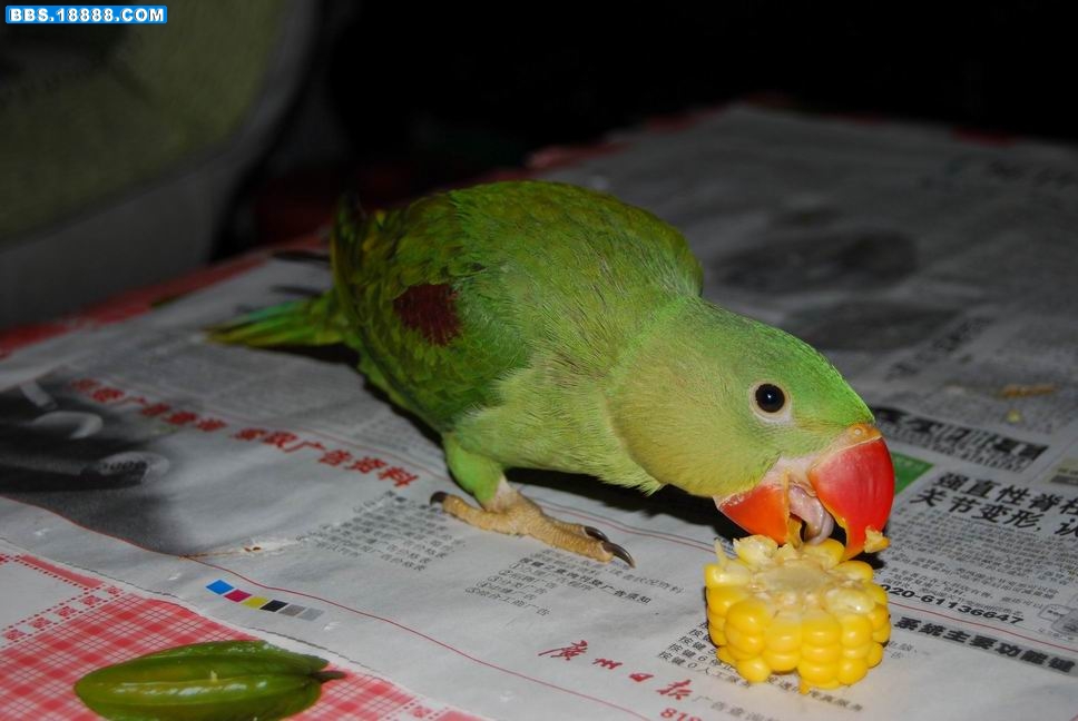 DSC_0112.JPG