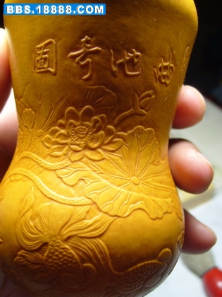 S7001661_调整大小.JPG