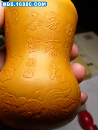 S7001668_调整大小.JPG