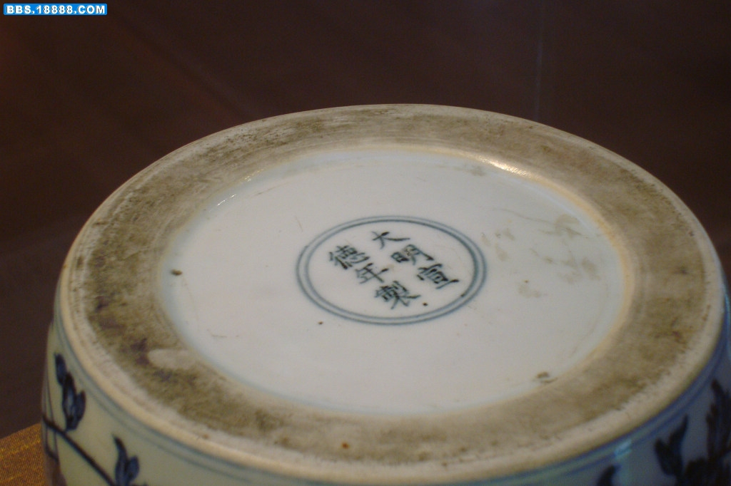 虫具类06.jpg