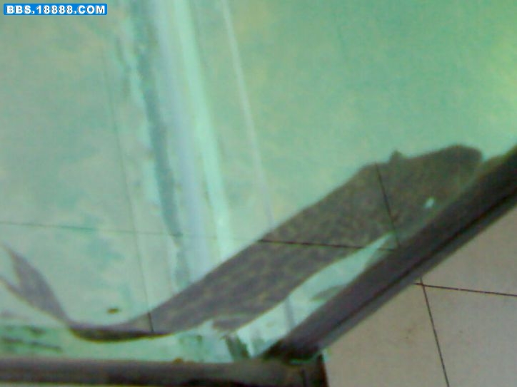 200904261331.jpg