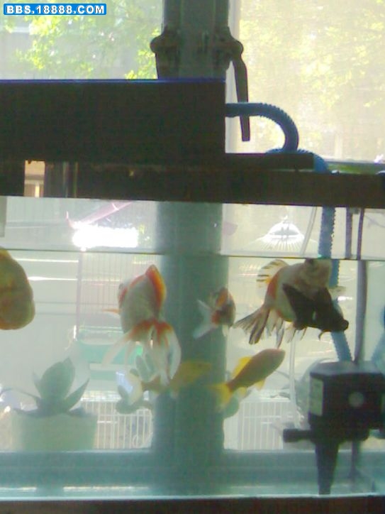 200904261345.jpg