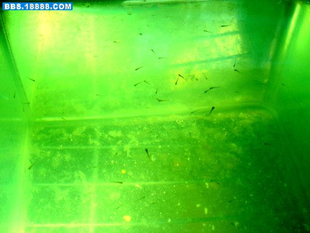 DSC03126.jpg