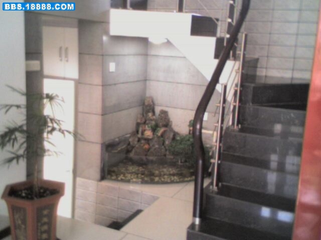 IMG0753A.jpg