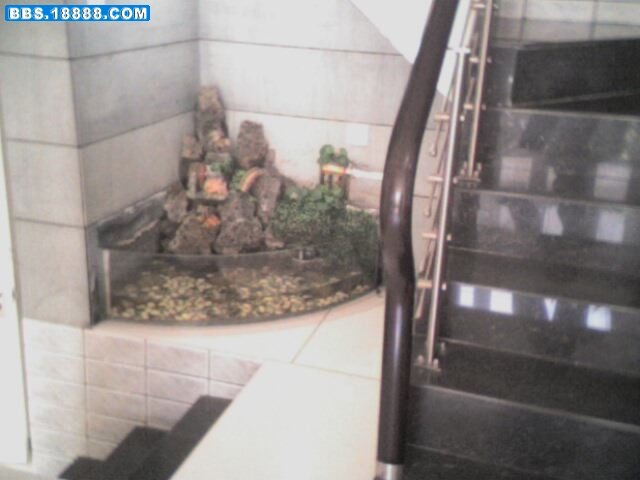 IMG0752A.jpg