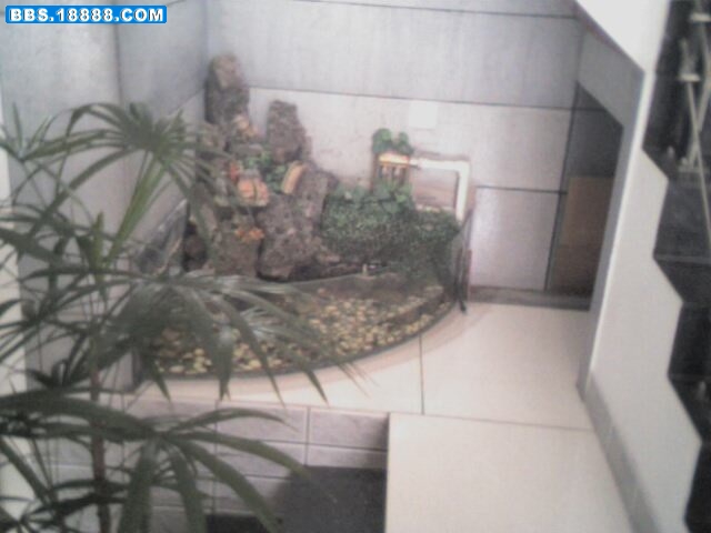 IMG0754A.jpg